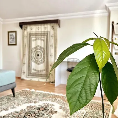 Loft With A Private Bath And A Dining + Shared Kitchen Appartamento
