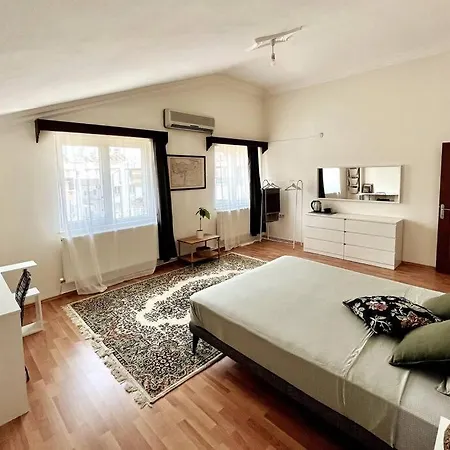 Loft With A Private Bath And A Dining + Shared Kitchen Διαμέρισμα *