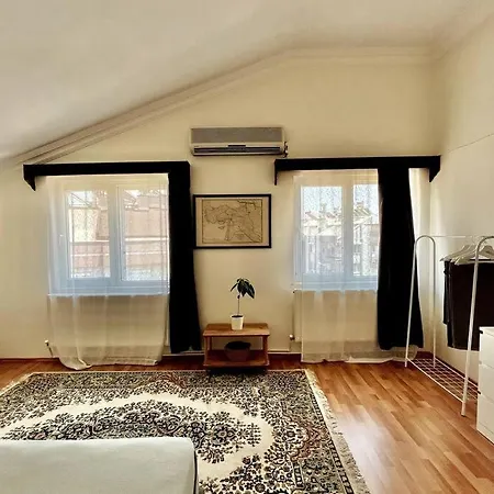 Loft With A Private Bath And A Dining + Shared Kitchen Appartamento Antalia